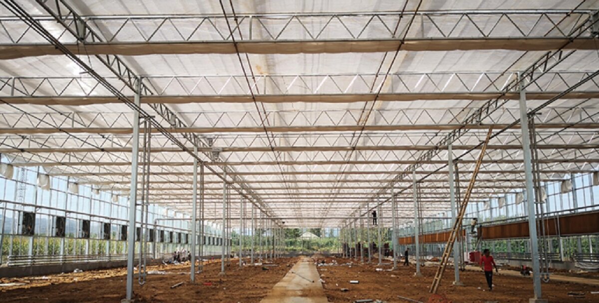 信橋鋼構(gòu)：打卡蒙陰農(nóng)業(yè)溫室大棚、青州黑牛養(yǎng)殖基地！(圖3)