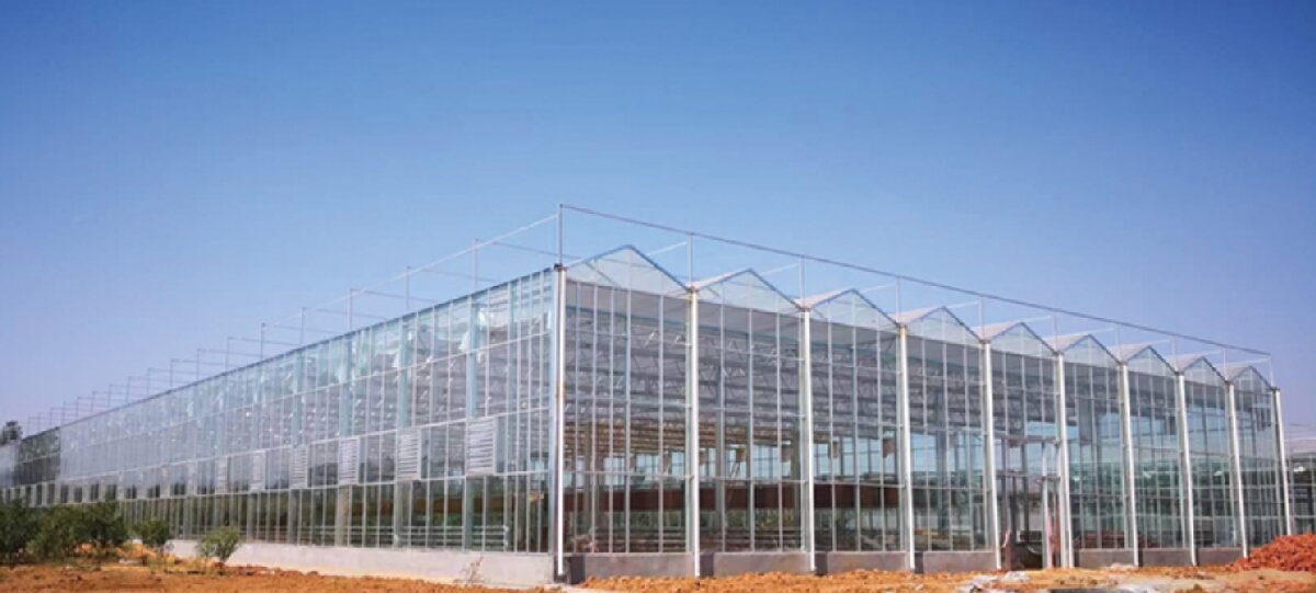 信橋鋼構(gòu)：打卡蒙陰農(nóng)業(yè)溫室大棚、青州黑牛養(yǎng)殖基地！(圖2)